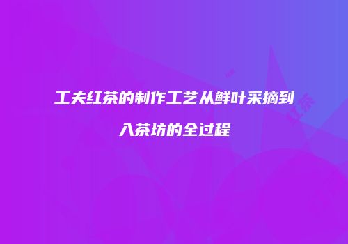 工夫红茶的制作工艺从鲜叶采摘到入茶坊的全过程