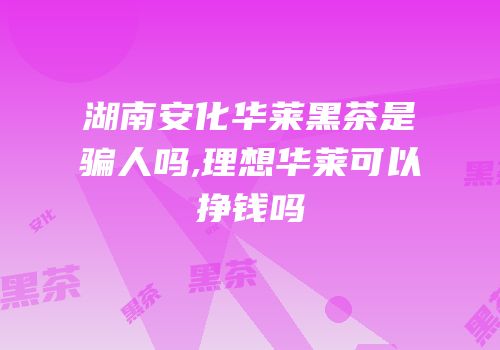 湖南安化华莱黑茶是骗人吗,理想华莱可以挣钱吗