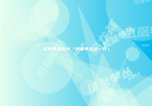 凤凰单丛茶叶「凤凰单丛茶一斤」