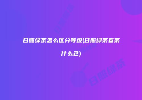 日照绿茶怎么区分等级(日照绿茶春茶什么色)