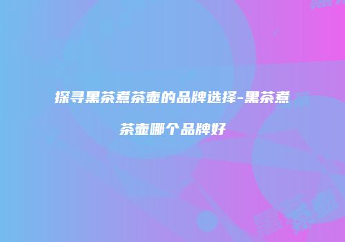 探寻黑茶煮茶壶的品牌选择-黑茶煮茶壶哪个品牌好