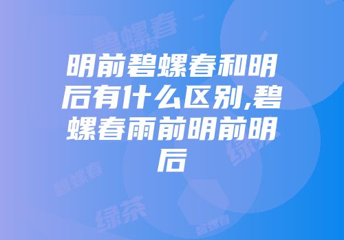 明前碧螺春和明后有什么区别,碧螺春雨前明前明后