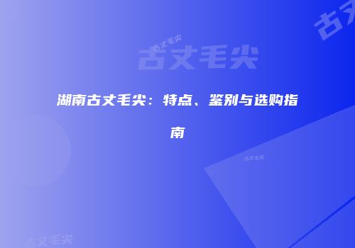 湖南古丈毛尖：特点、鉴别与选购指南