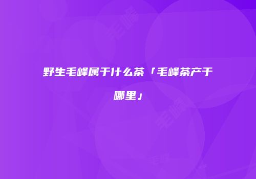野生毛峰属于什么茶「毛峰茶产于哪里」