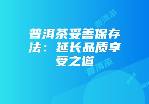 普洱茶妥善保存法：延长品质享受之道