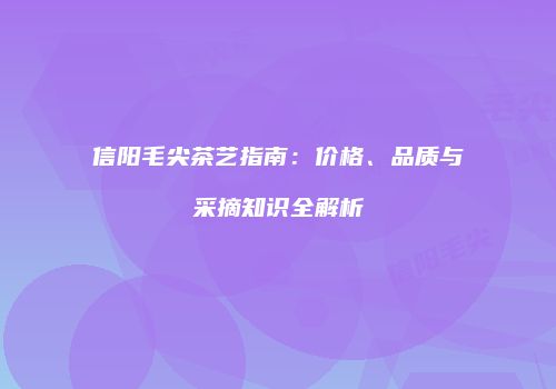 信阳毛尖茶艺指南：价格、品质与采摘知识全解析