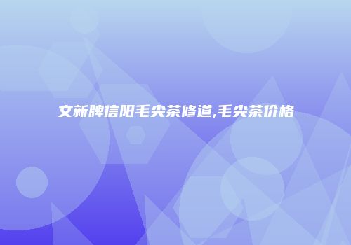 文新牌信阳毛尖茶修道,毛尖茶价格