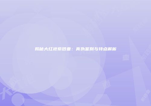 揭秘大红袍紫砂壶：真伪鉴别与特点解析