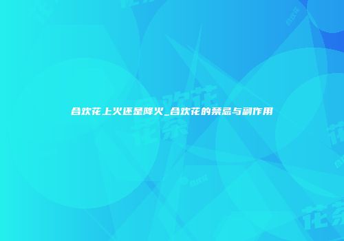 合欢花上火还是降火_合欢花的禁忌与副作用