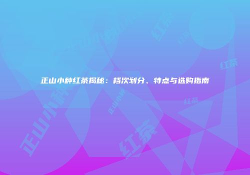 正山小种红茶揭秘：档次划分、特点与选购指南