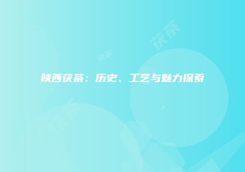 陕西茯茶：历史、工艺与魅力探索