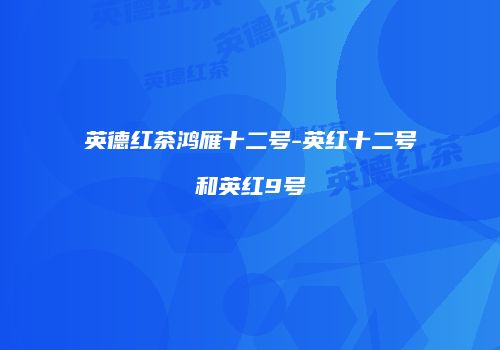 英德红茶鸿雁十二号-英红十二号和英红9号