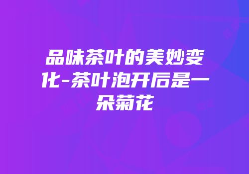 品味茶叶的美妙变化-茶叶泡开后是一朵菊花