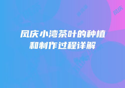 凤庆小湾茶叶的种植和制作过程详解