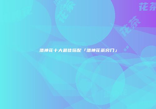 洛神花十大最佳搭配「洛神花茶窍门」
