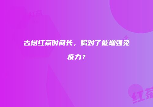 古树红茶时间长，喝对了能增强免疫力？
