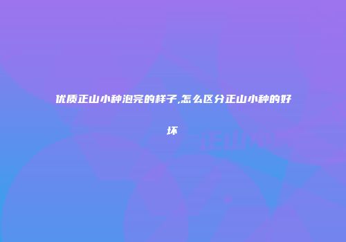 优质正山小种泡完的样子,怎么区分正山小种的好坏