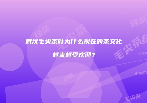 武汉毛尖茶叶为什么现在的茶文化越来越受欢迎？