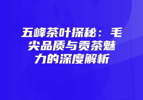 五峰茶叶探秘：毛尖品质与贡茶魅力的深度解析