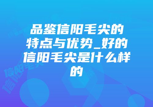 品鉴信阳毛尖的特点与优势_好的信阳毛尖是什么样的