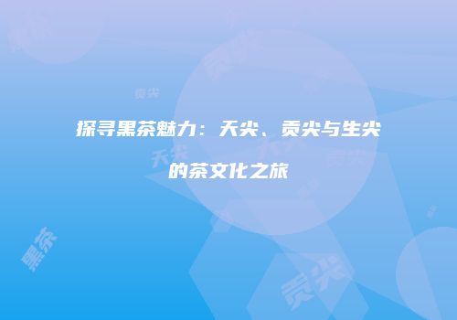探寻黑茶魅力：天尖、贡尖与生尖的茶文化之旅