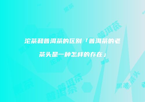 沱茶和普洱茶的区别「普洱茶的老茶头是一种怎样的存在」