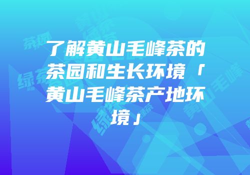了解黄山毛峰茶的茶园和生长环境「黄山毛峰茶产地环境」