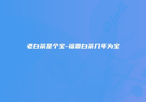 老白茶是个宝-福鼎白茶几年为宝