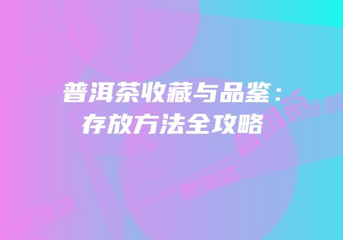 普洱茶收藏与品鉴：存放方法全攻略