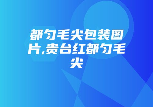 都匀毛尖包装图片,贵台红都匀毛尖