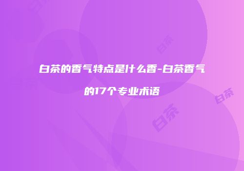 白茶的香气特点是什么香-白茶香气的17个专业术语