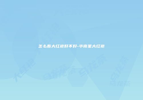 怎么看大红袍好不好-华南星大红袍