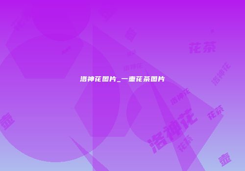 洛神花图片_一壶花茶图片