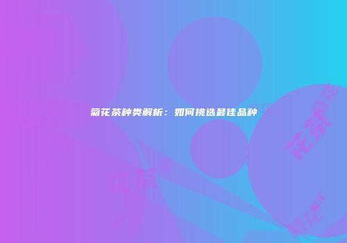 菊花茶种类解析：如何挑选最佳品种