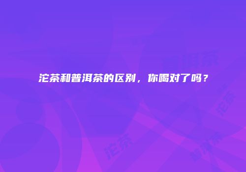 沱茶和普洱茶的区别，你喝对了吗？