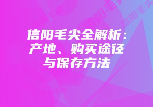 信阳毛尖全解析：产地、购买途径与保存方法