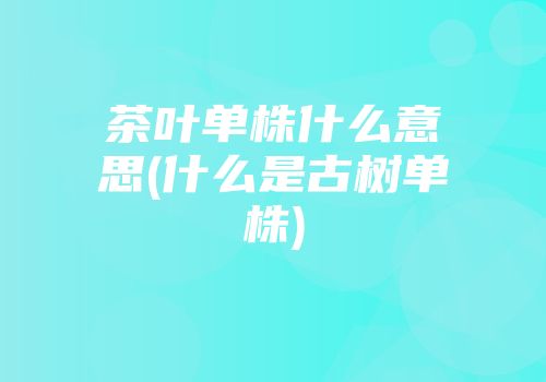 茶叶单株什么意思(什么是古树单株)