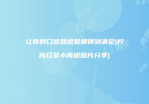 让你的口感和视觉都得到满足(柠檬红茶小青柑图片分享)
