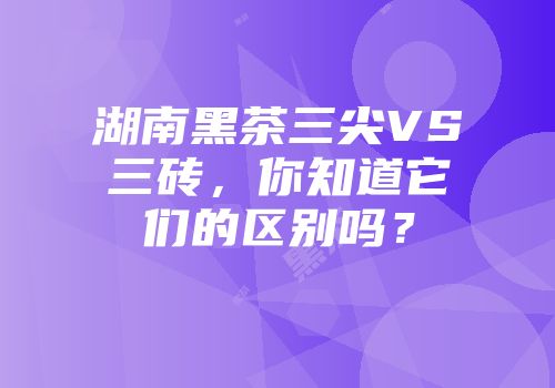 湖南黑茶三尖VS三砖，你知道它们的区别吗？