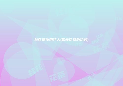 桂花副作用吓人(喝桂花茶的功效)