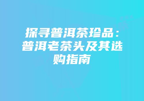 探寻普洱茶珍品：普洱老茶头及其选购指南