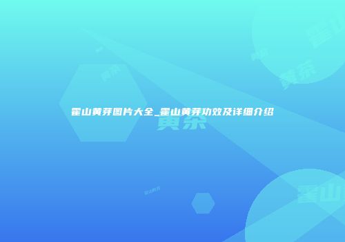 霍山黄芽图片大全_霍山黄芽功效及详细介绍