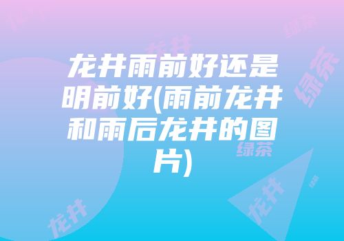 龙井雨前好还是明前好(雨前龙井和雨后龙井的图片)