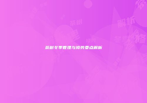 茶树冬季管理与修剪要点解析