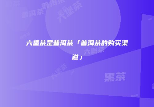六堡茶是普洱茶「普洱茶的购买渠道」