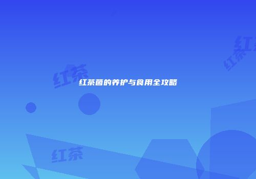红茶菌的养护与食用全攻略