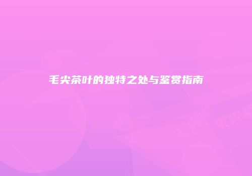 毛尖茶叶的独特之处与鉴赏指南
