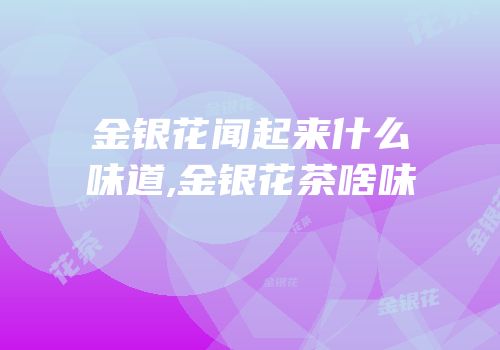 金银花闻起来什么味道,金银花茶啥味
