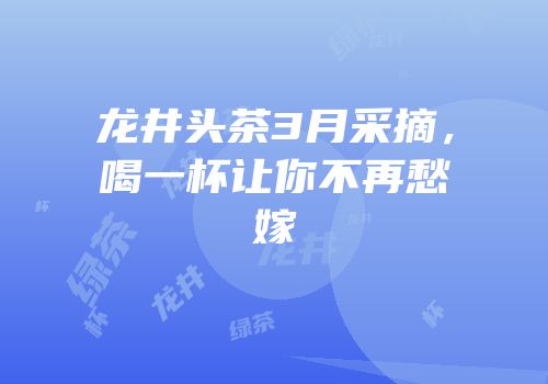 龙井头茶3月采摘，喝一杯让你不再愁嫁