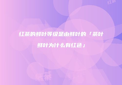 红茶的鲜叶等级是由鲜叶的「茶叶鲜叶为什么有红色」